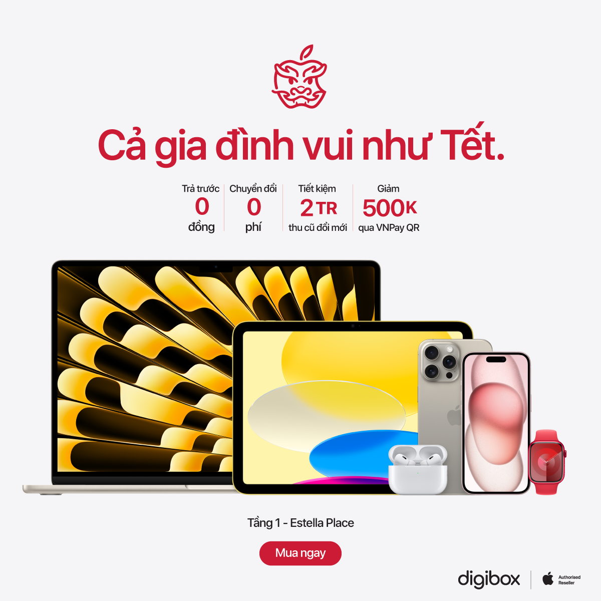 DIGIBOX - NEW YEAR DEALS